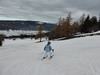 L'herbe n'est pas loin