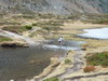 Traverse obligatoire avant le pique-nique