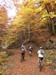 En route pour le Puy d'Oulles, dans des couleurs d'automne splendides !