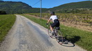 En route pour le col d'Ey, devant les vignes
