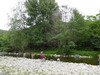 Au bord de l'Ouvze