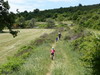 Petit sentier; bien charmant