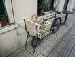 Autre style de carriole
