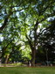 Ma visite le parc Vicente Lopez