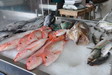 March de poissons