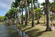 Magnifique parc de l'habitation Clment