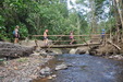Pont en bambou