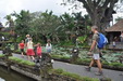 Temple Pura Taman Saraswati et son tang de fleurs de lotus