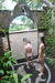 La super douche extrieure avec vue sur les rizires