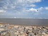 Beaucoup d'eau, peu de plage!
