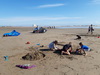 Activits plage