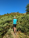 Rando 'Punta Alla Vetta', d'abord dans les fougres