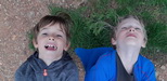 Les cousins