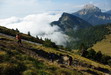Grenoble reste dans les nuages