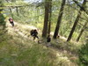 Sortie collective du dimanche, sur un trs joli sentier tout pinglu