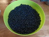 4,5 Kg de myrtilles!